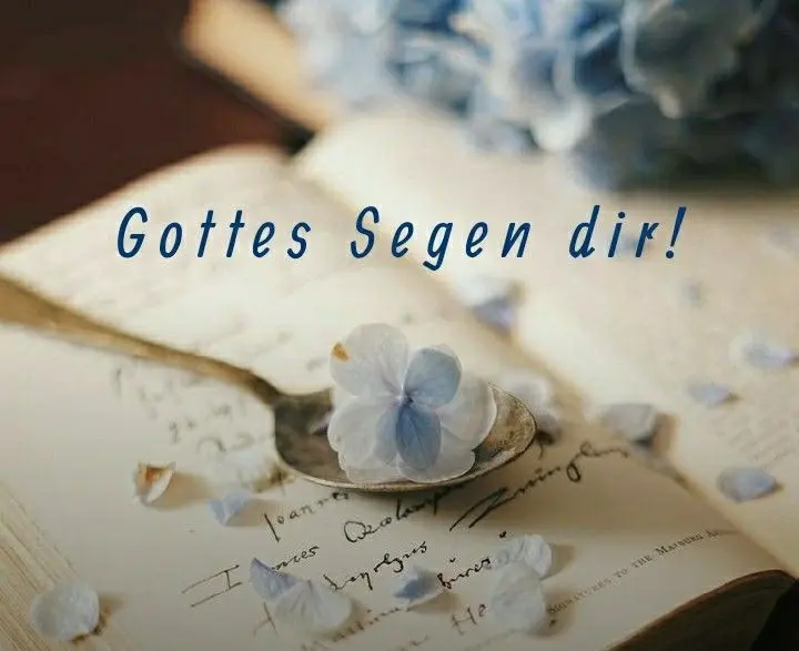 Condolence image of Snowy ❤️