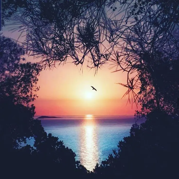 Condolence image of Abendgrüße❤️