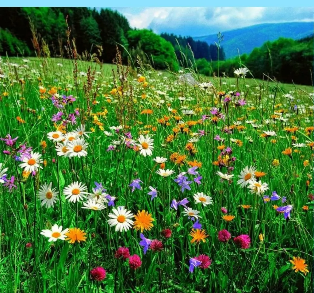 Condolence image of ♥️