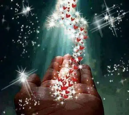 Condolence image of Unbekannt