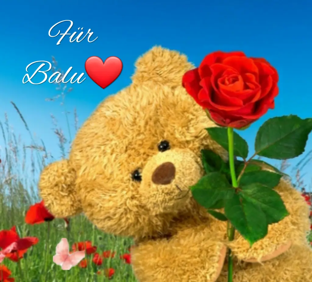 Condolence image of Ewa & Krzysztof mit Jacki tief im Herzen ❤