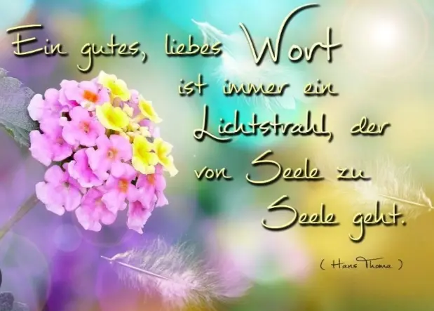 Condolence image of Ewa & Krzysztof mit Jacki tief im Herzen ❤