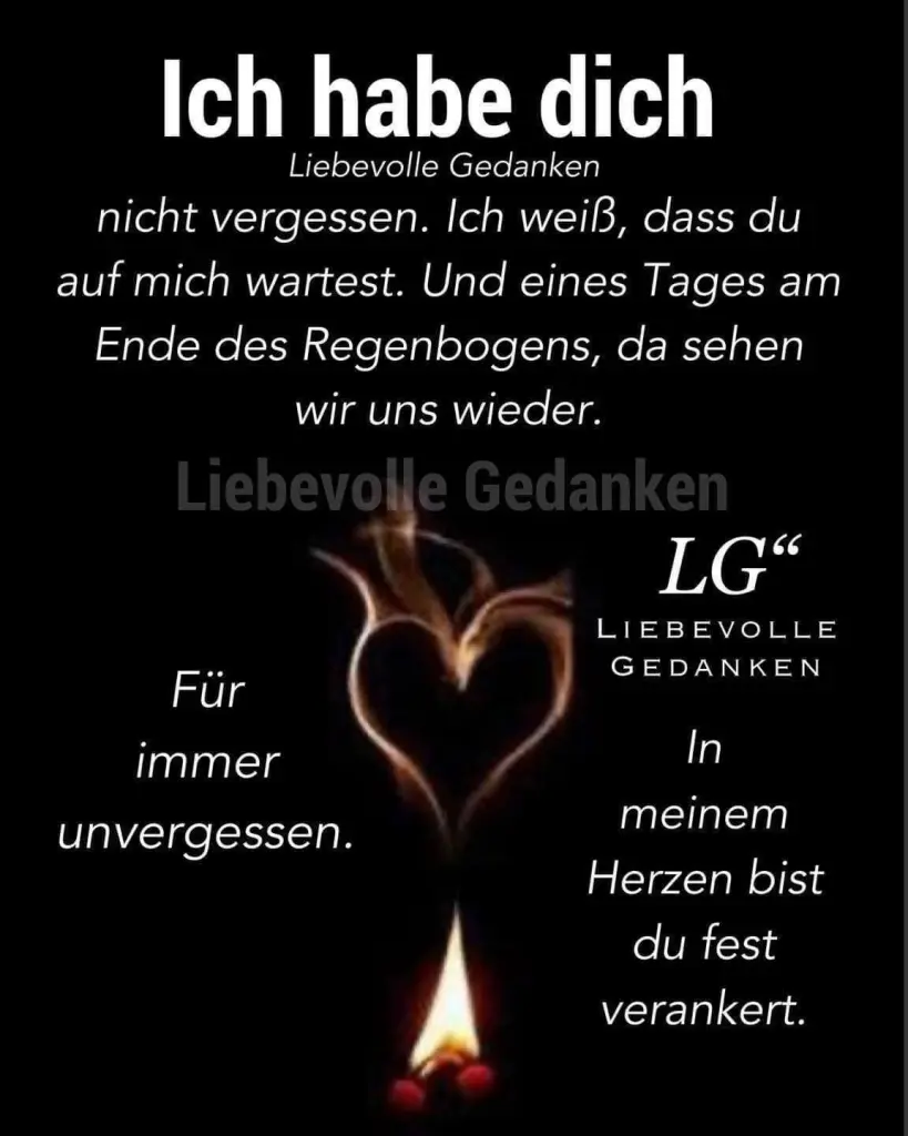 Condolence image of Für Balu von Herzen