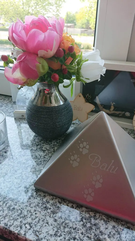 Condolence image of Ina