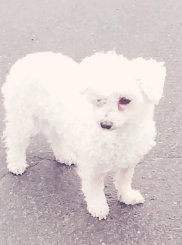 Condolence image of Unbekannt