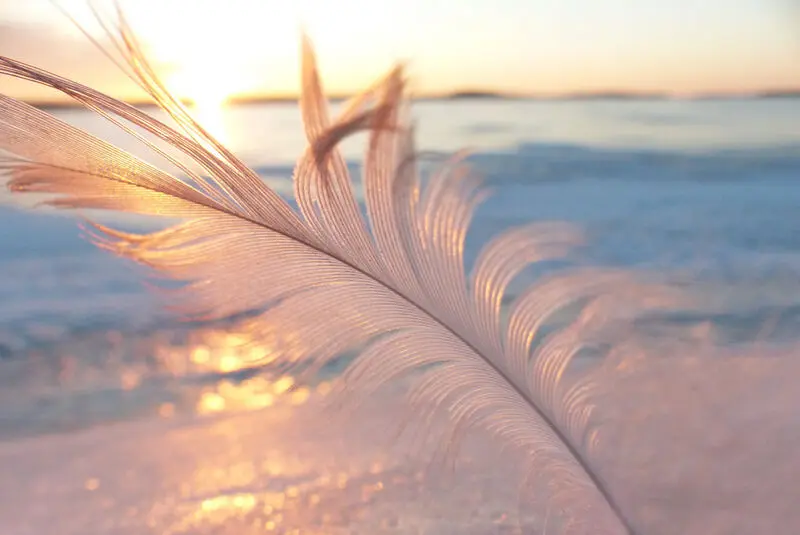 Condolence image of Gaby mit Snowy *im Herzen 