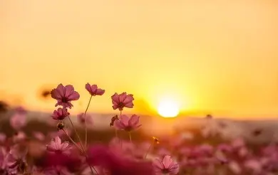 Condolence image of ♥️♥️♥️♥️