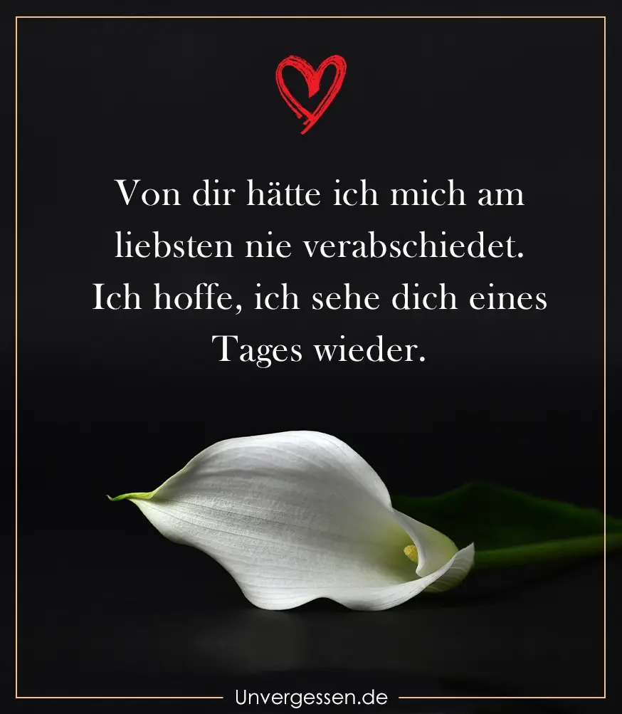 Condolence image of Für Balu 