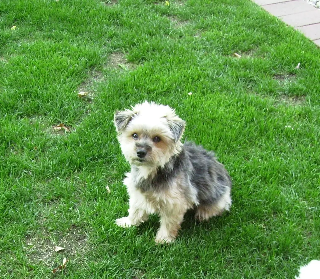 Condolence image of Unbekannt