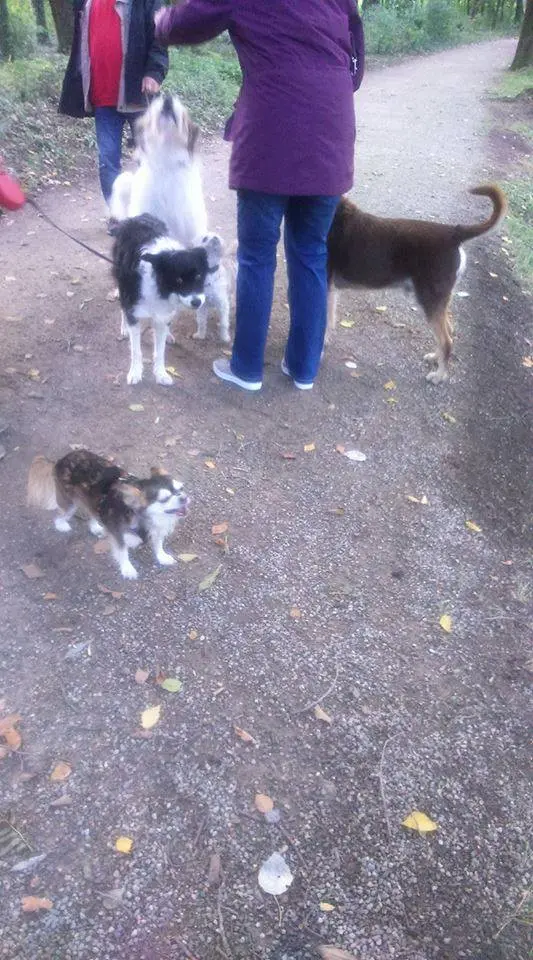 Condolence image of Rita