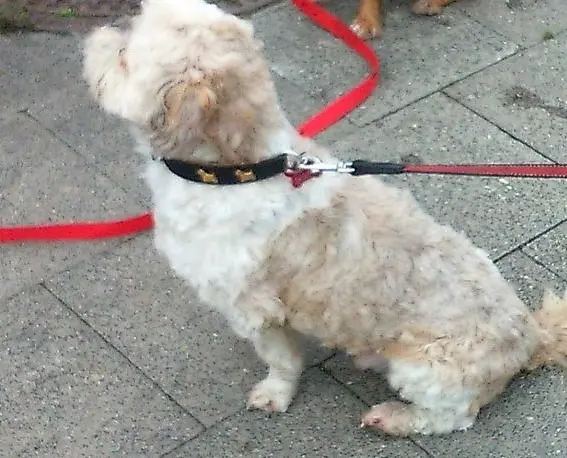 Condolence image of Von Birgit