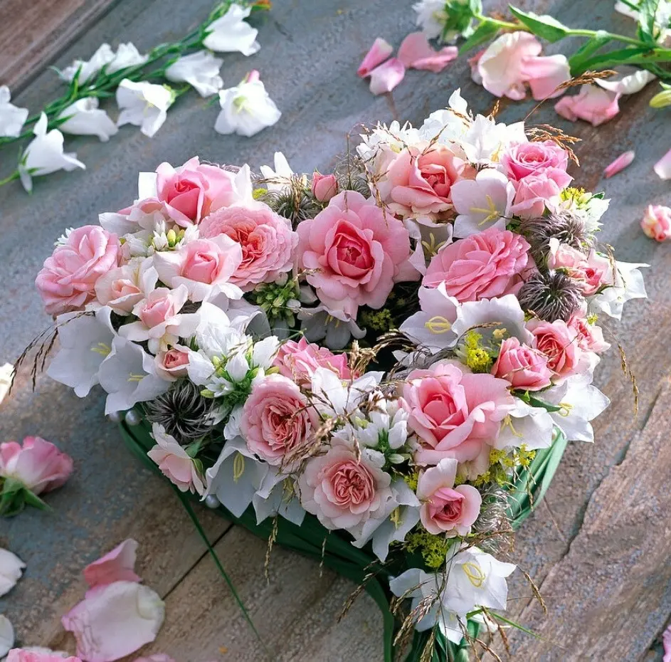 Condolence image of 30 Monate....Sehnsucht ♥️