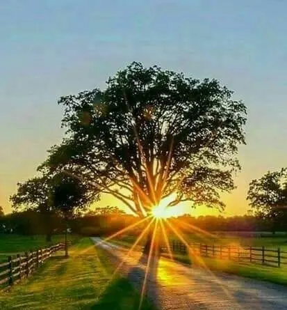 Condolence image of Gaby mit Snowy *im Herzen