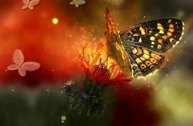 Condolence image of ❤️