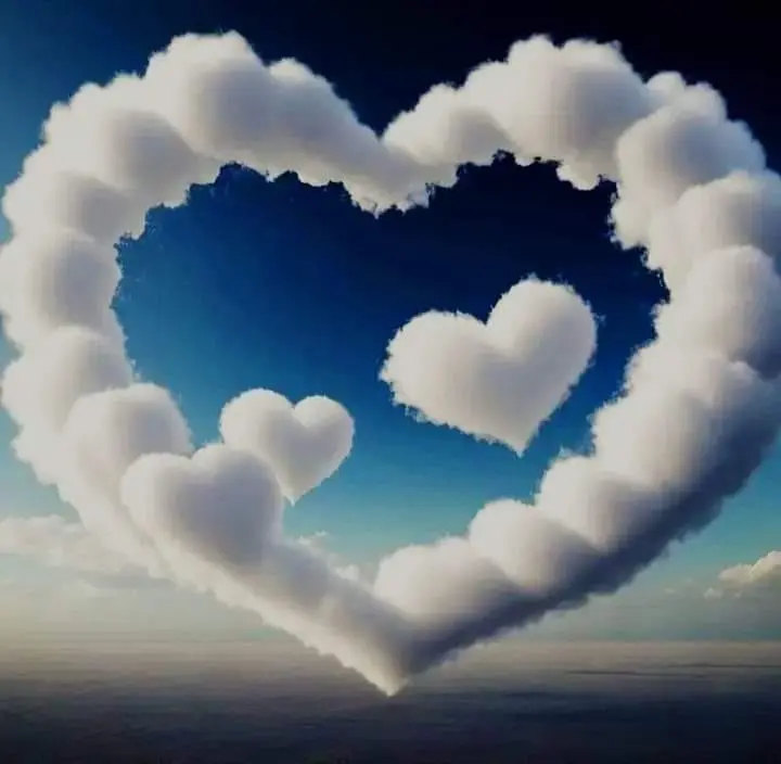 Condolence image of Für Balu von Herzen