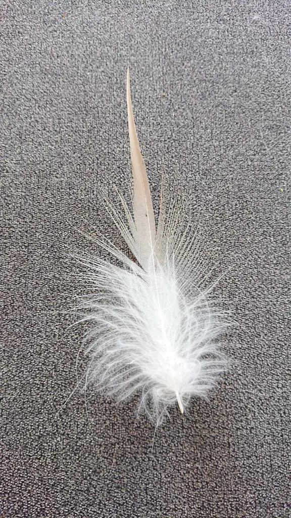 Condolence image of Ina