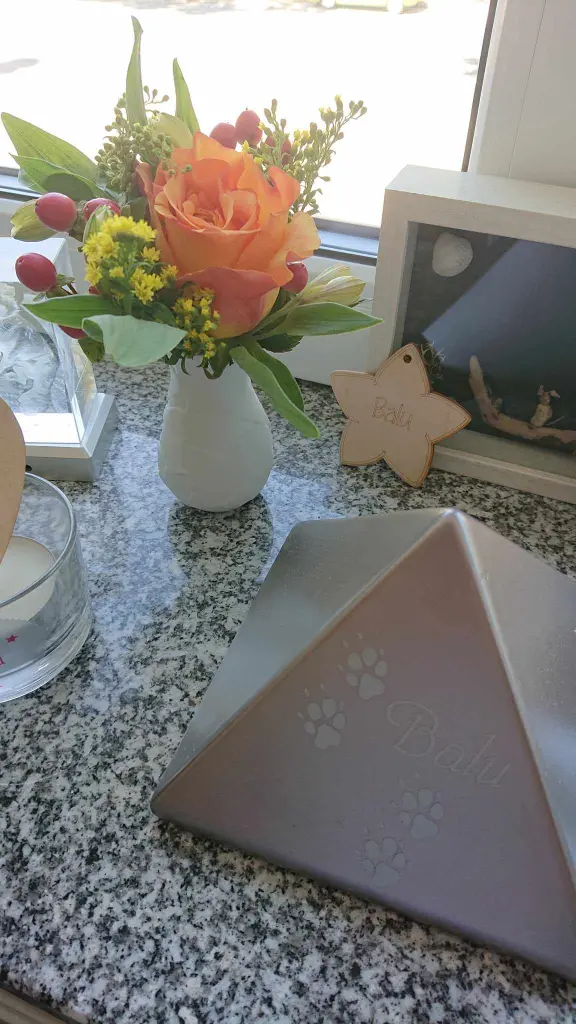 Condolence image of Für Balu von Herzen