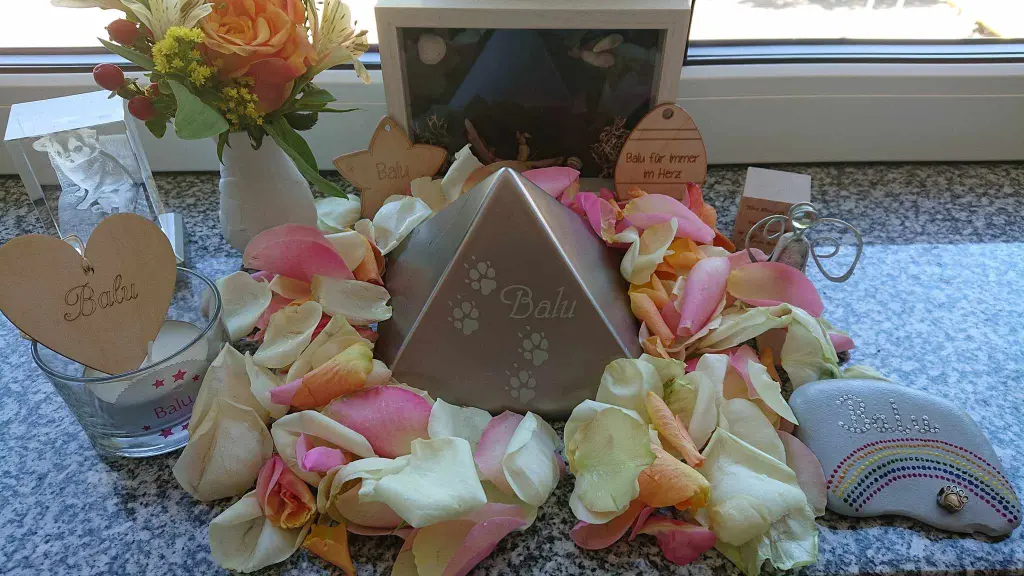 Condolence image of ❤️❤️❤️❤️