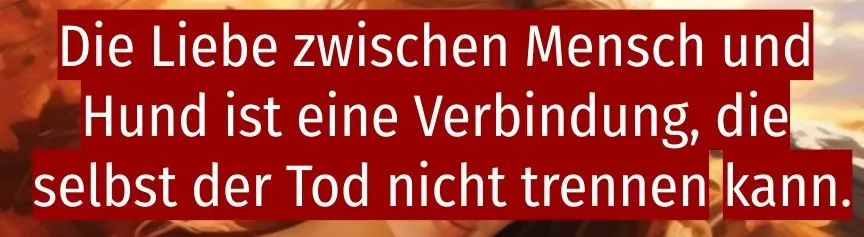 Condolence image of Ina Erberich