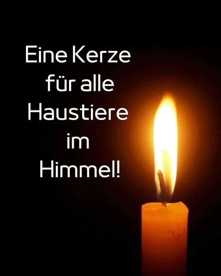 Condolence image of ❤️