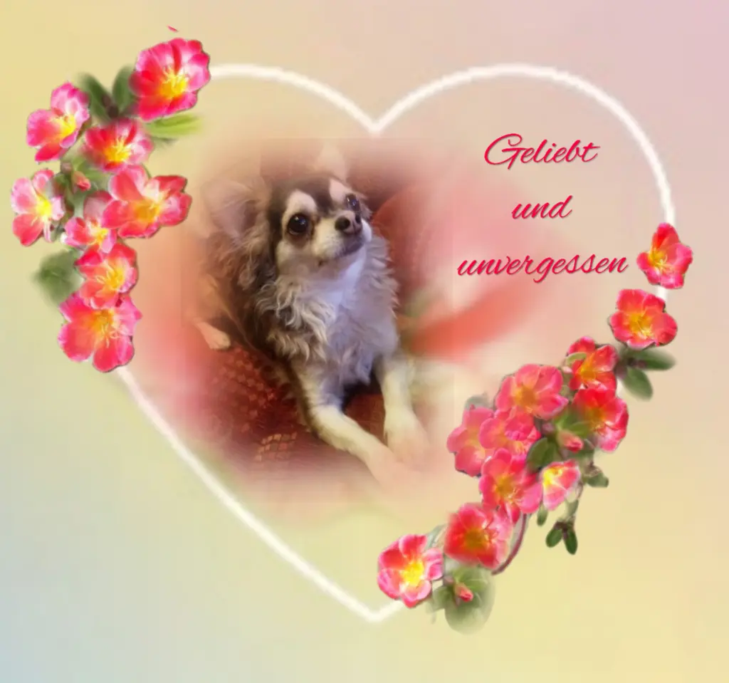 Condolence image of ❤️❤️