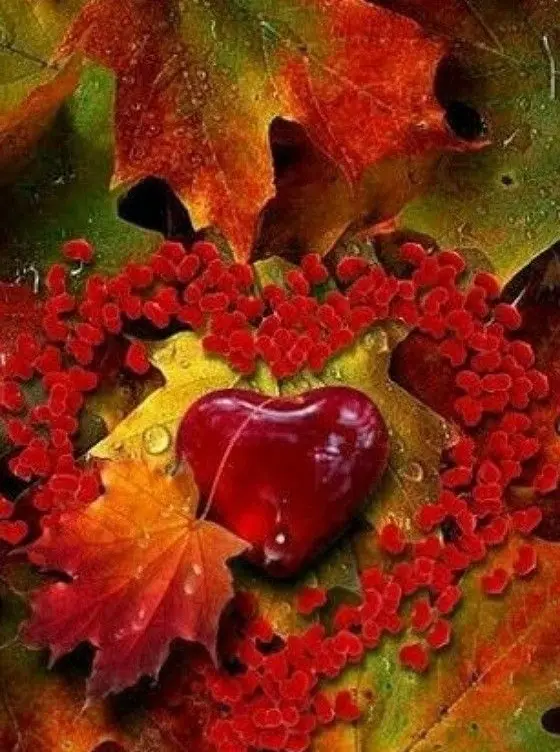 Condolence image of ❤️