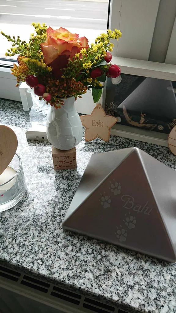 Condolence image of Für Balu von Herzen