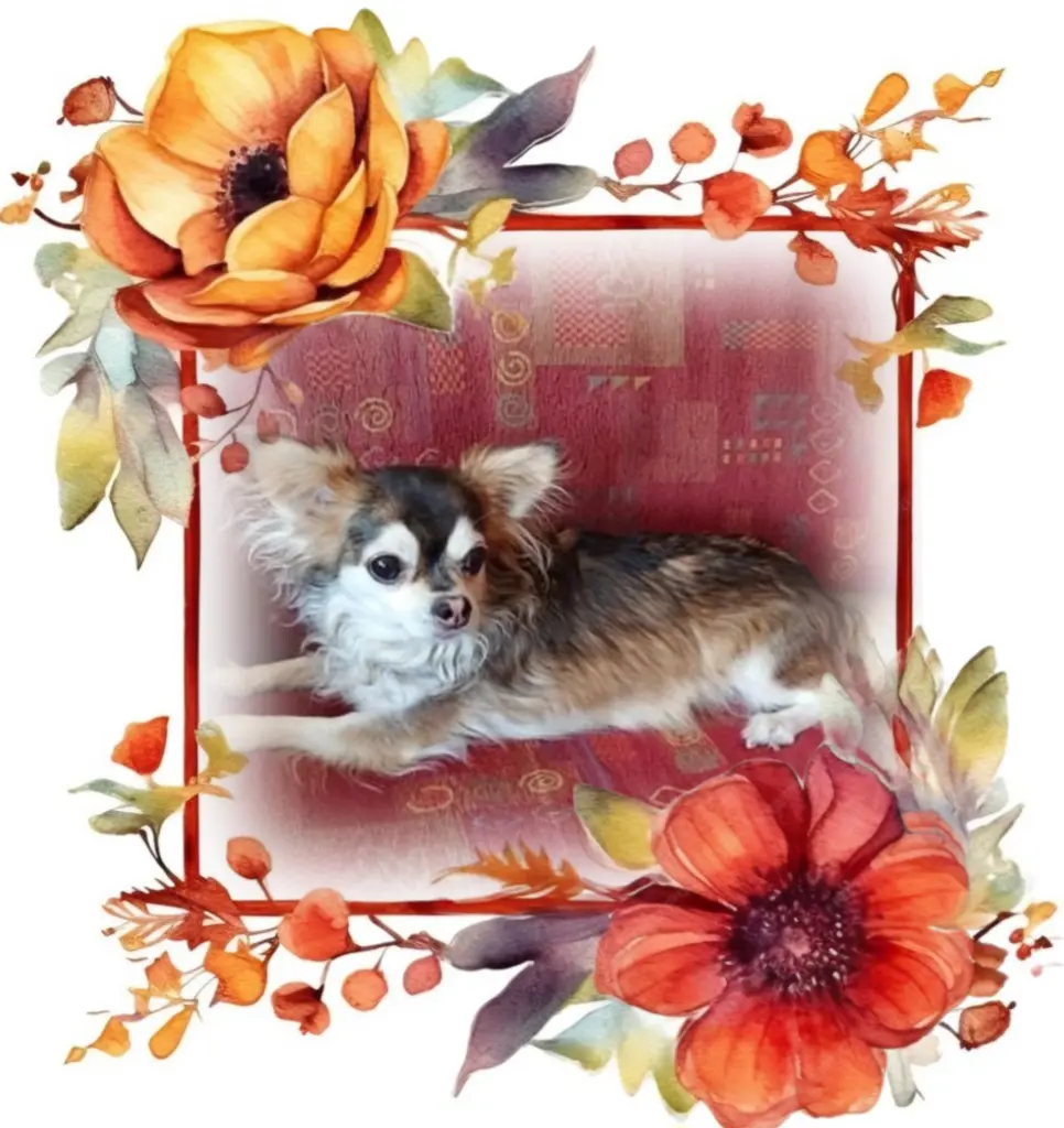 Condolence image of ❤️❤️