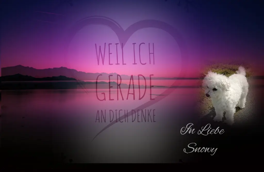 Condolence image of ❤️Gute Nacht ❤️