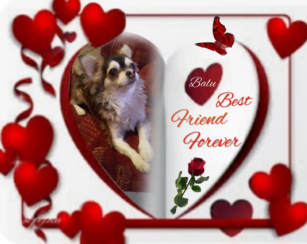 Condolence image of ❤️❤️