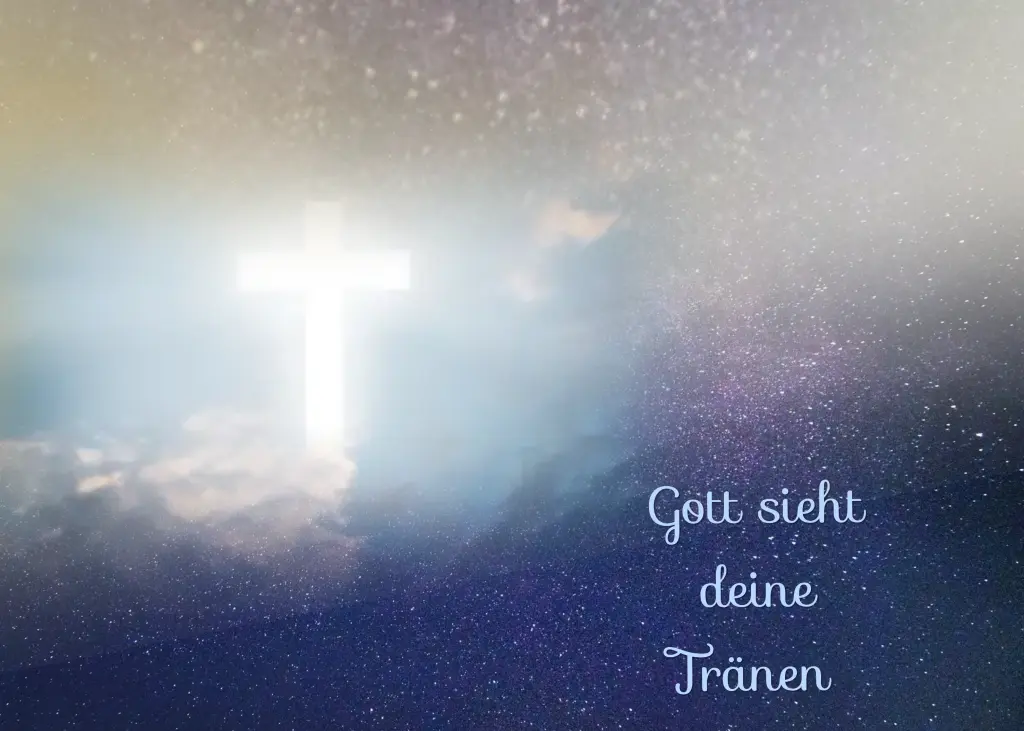 Condolence image of Gaby mit Snowy* im Herzen 