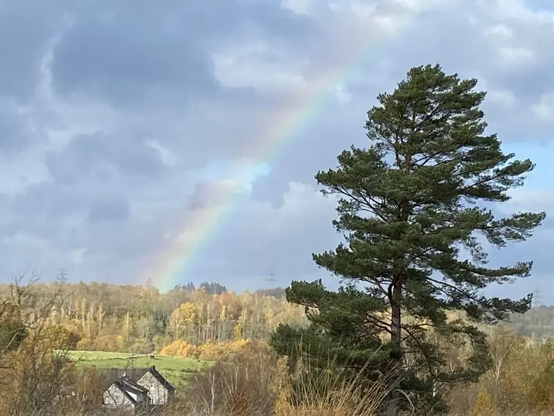 Condolence image of für Balu