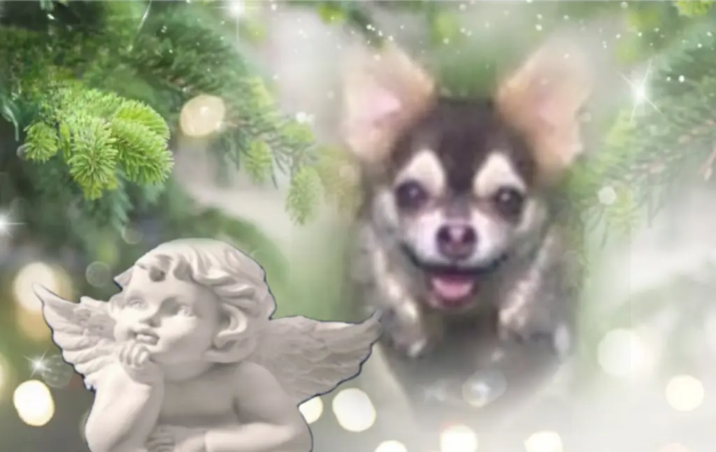 Condolence image of ❤️❤️