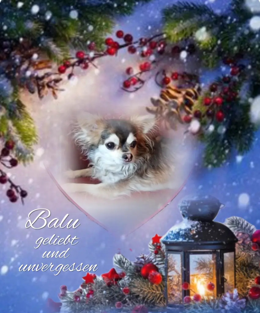 Condolence image of ❤️❤️