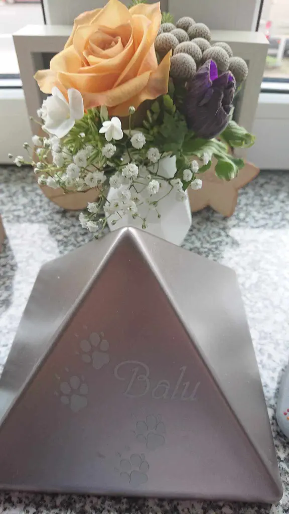 Condolence image of Ina Erberich