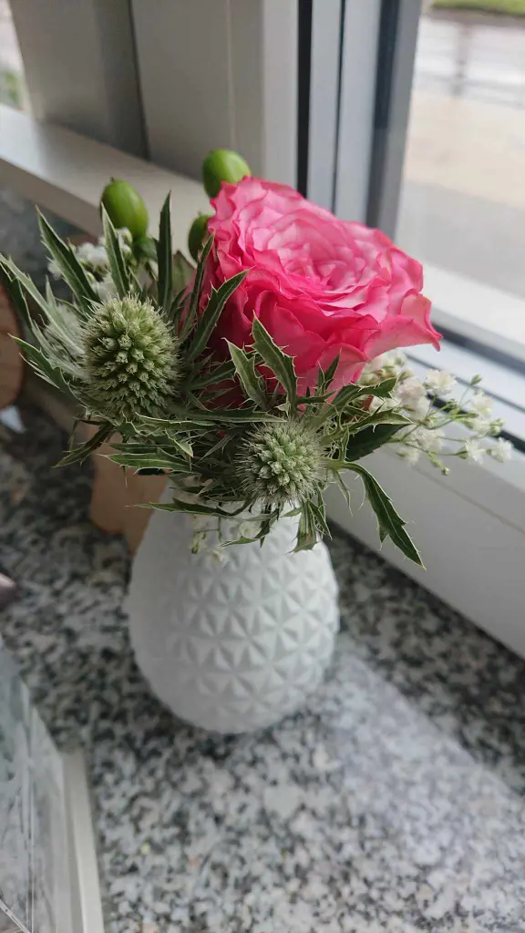 Condolence image of Ina Erberich