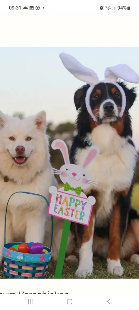 Condolence image of Fam.Kostrzewski