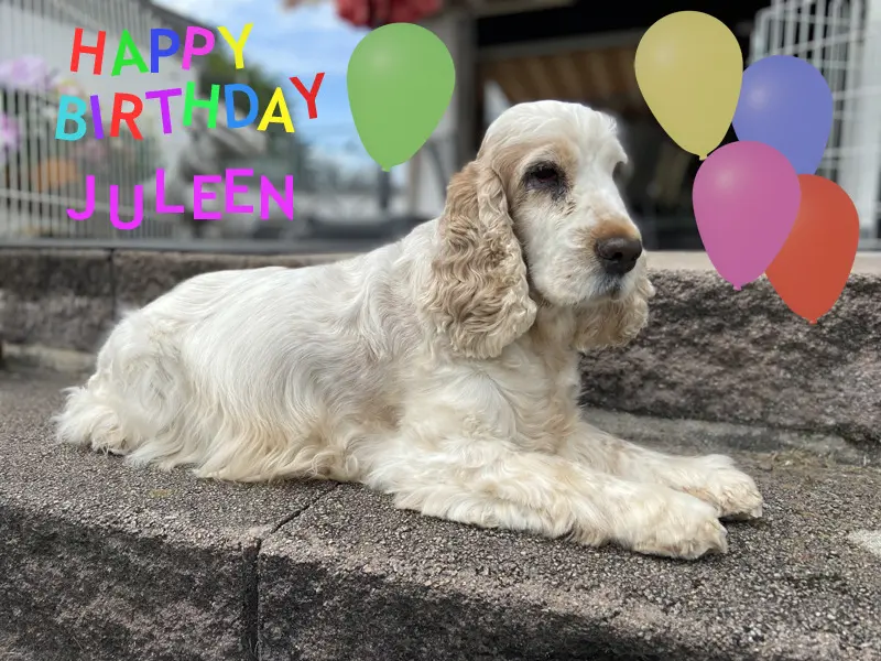 Condolence image of Juleen