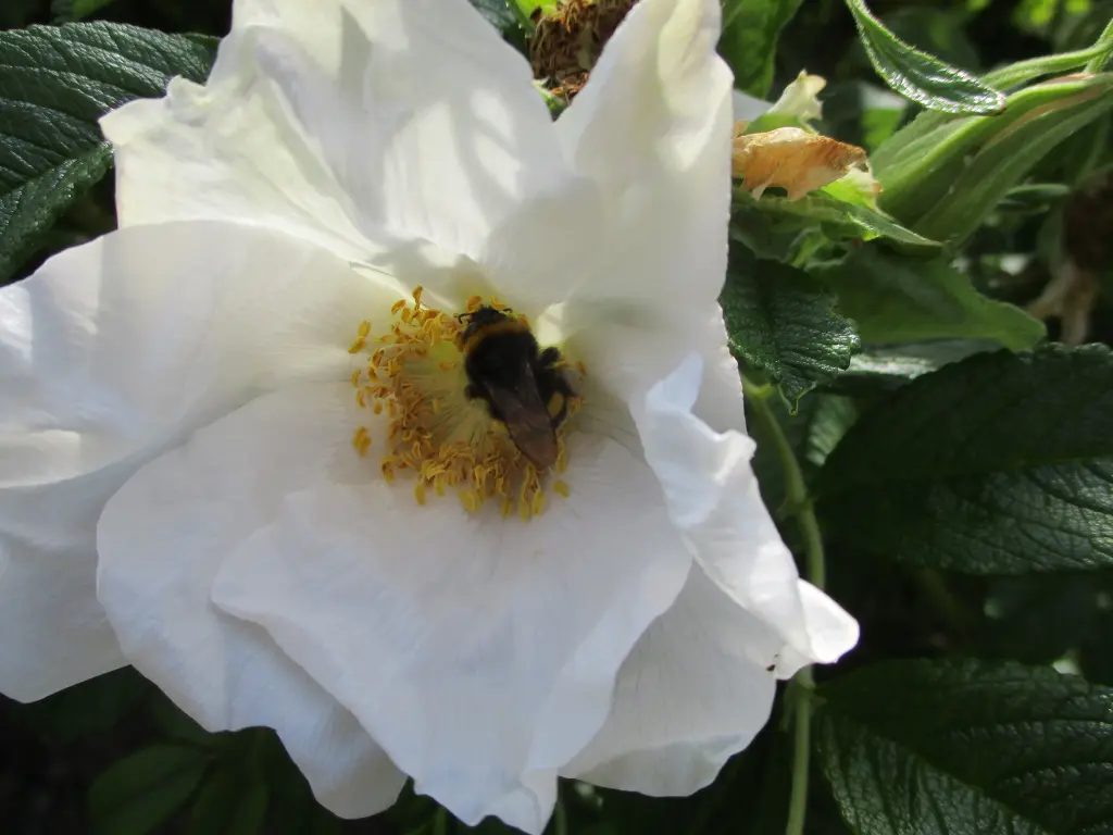 Condolence image of Juleen