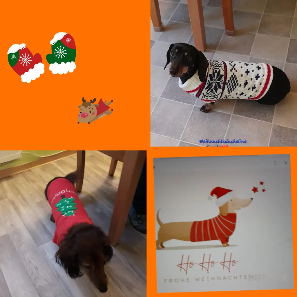 Condolence image of Iris mit Louis im ❤️ und Candy an meiner Seite ❤️