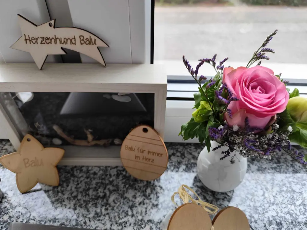 Condolence image of Ina