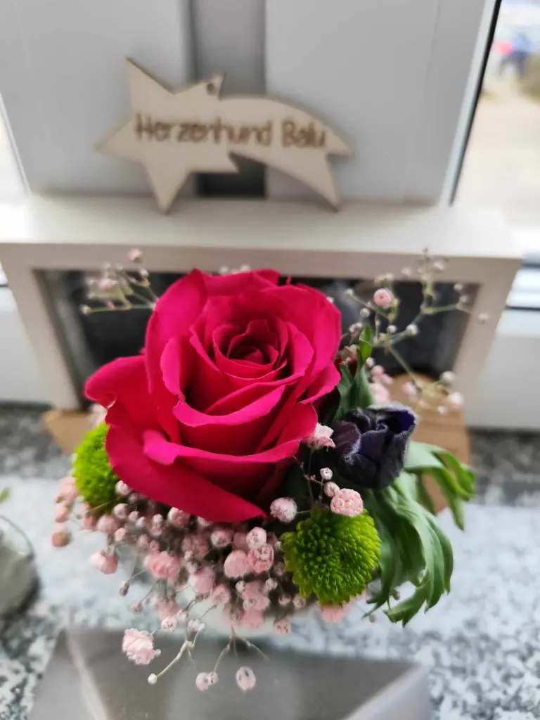 Condolence image of Herzen