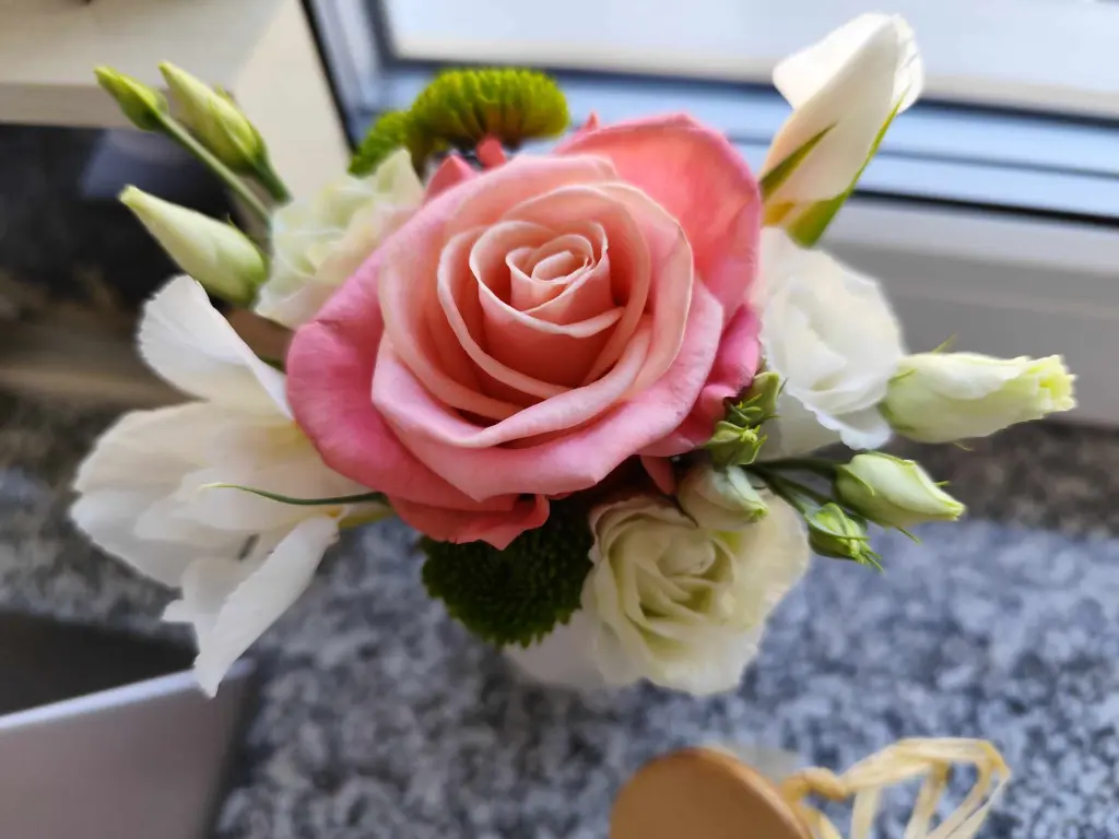 Condolence image of ❤️❤️❤️❤️