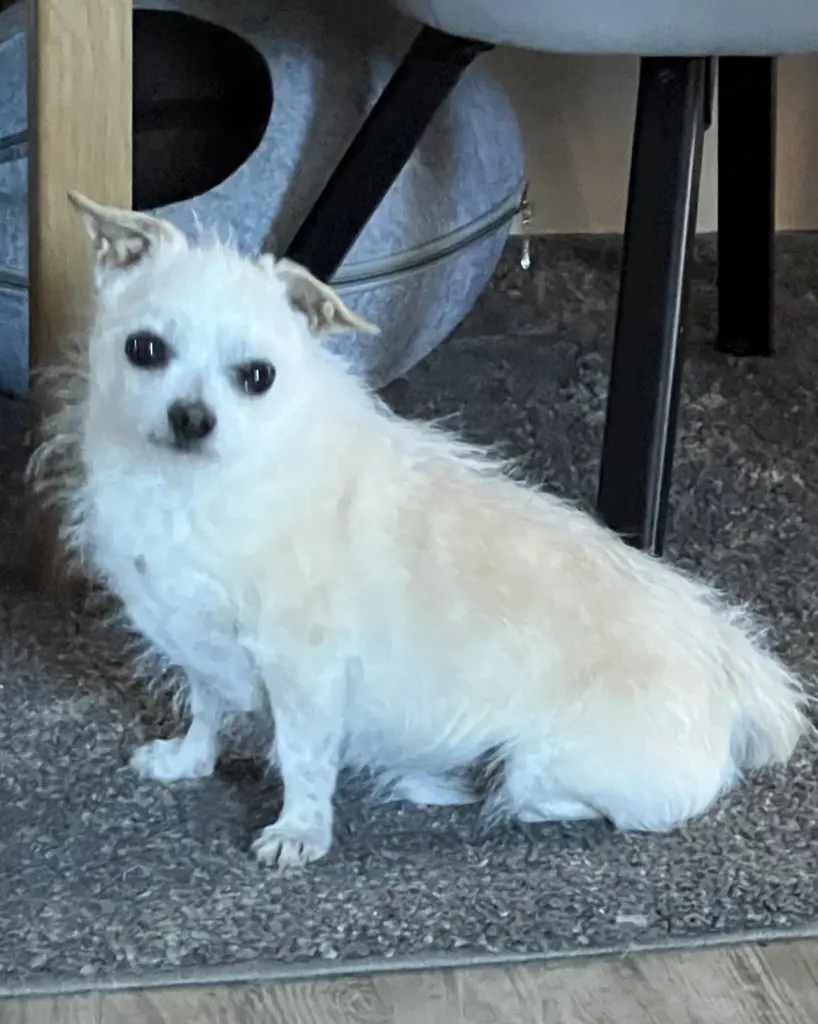 Condolence image of Claudia 