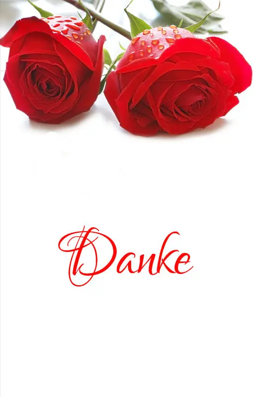 Condolence image of Ina + Balu