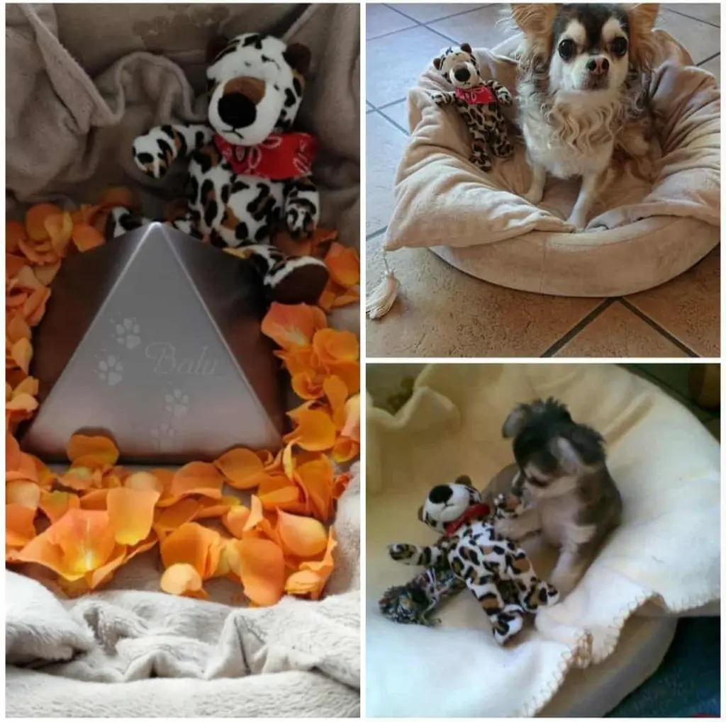 Condolence image of ❤️❤️❤️❤️