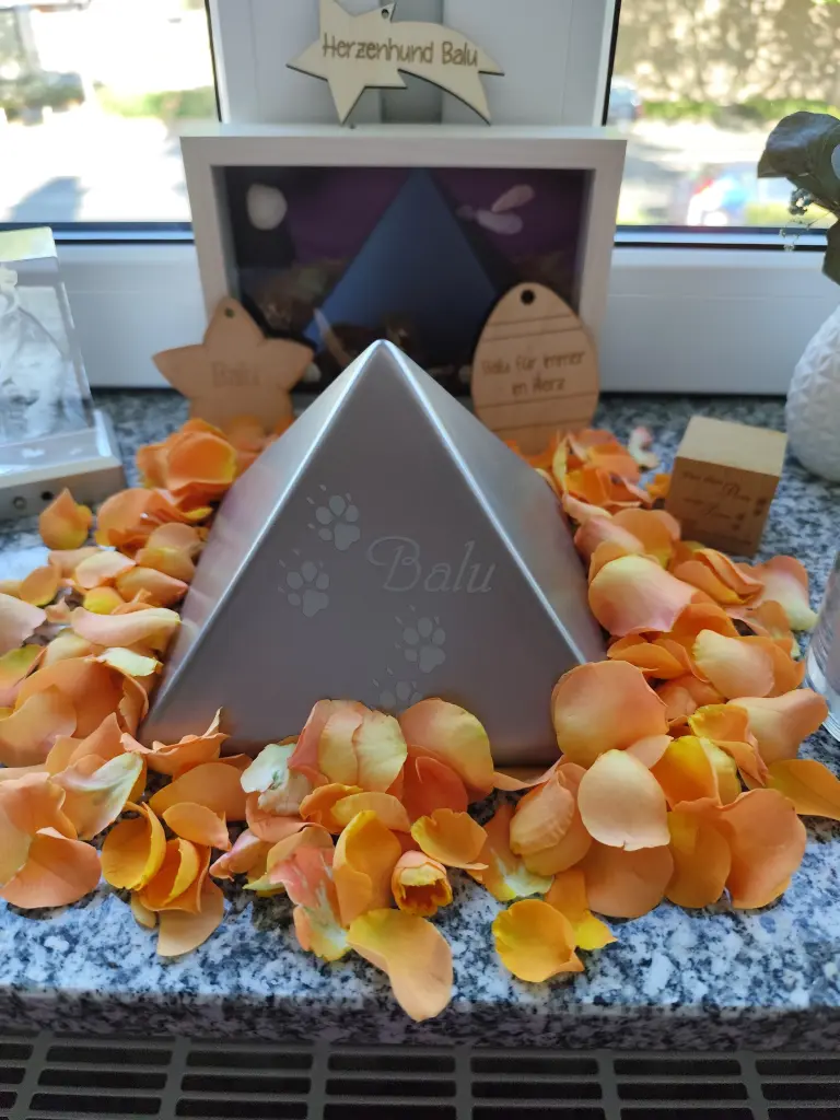 Condolence image of ♥️