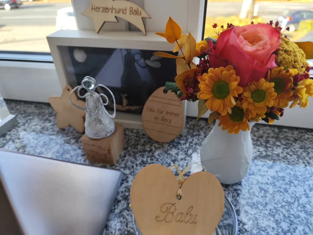 Condolence image of Ina