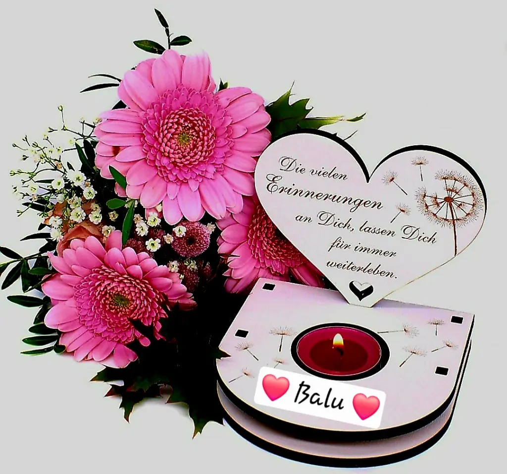 Condolence image of ❤️ Balu ❤️ für immer im Herzen ❤️