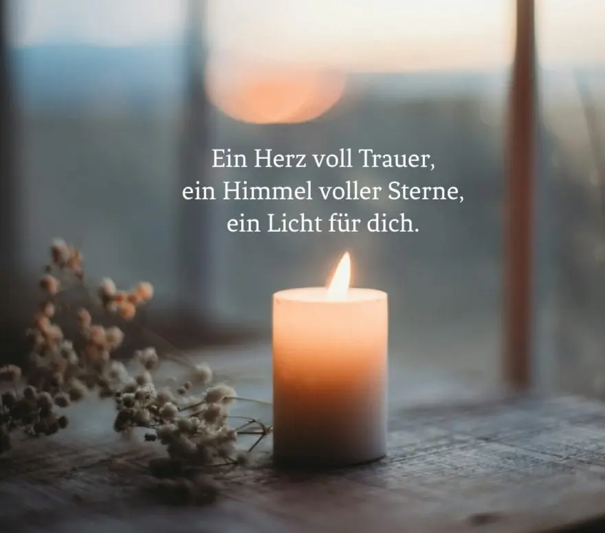 Condolence image of In liebevollem Gedenken 🌹
